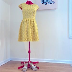 Kensie shirt sleeve dress